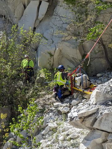 <p>NorthCanaanAnimalControl/Facebook</p> Rippy being rescued