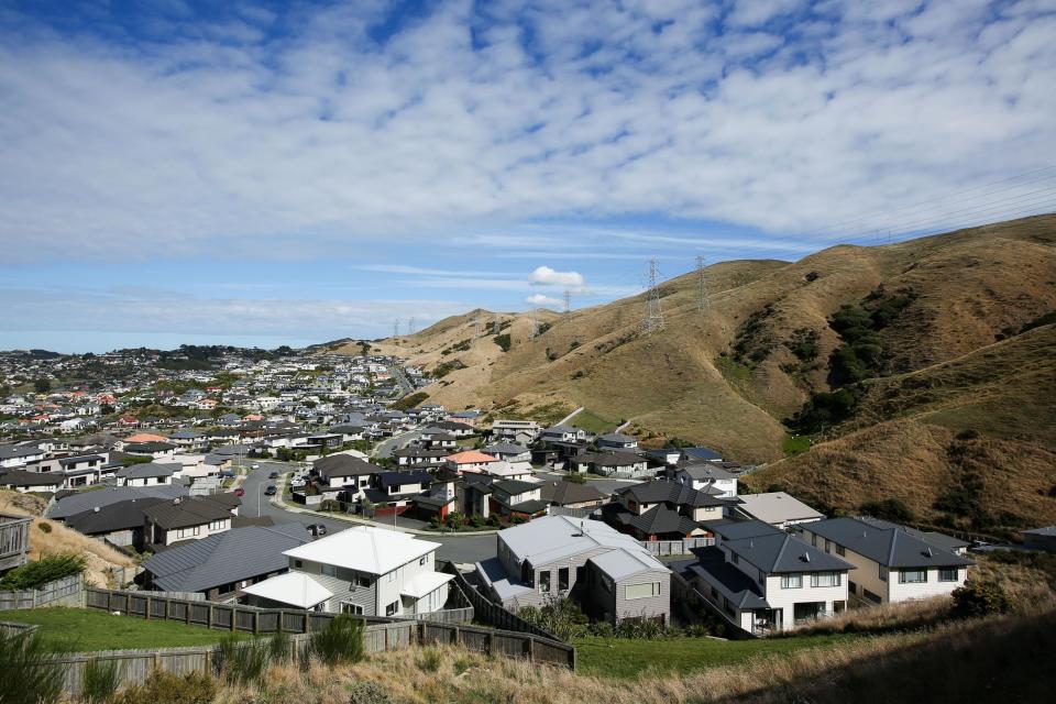 Houses in New Zealand's capital, Wellington — property prices have risen by 57% over the last decade: Hagen Hopkins/Getty Images