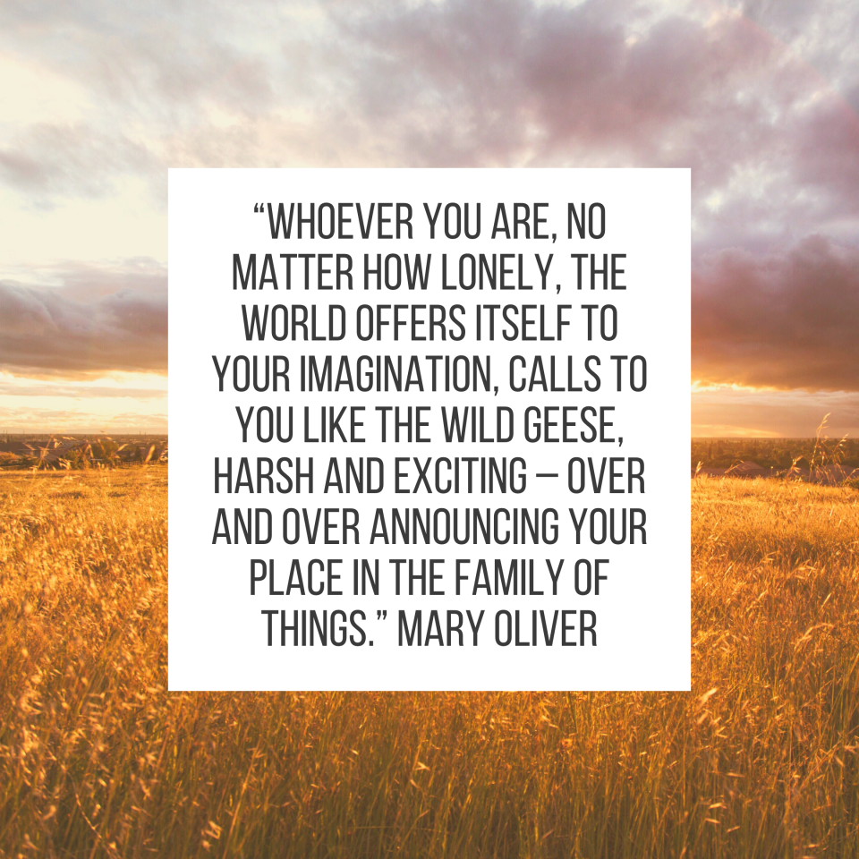 “Whoever you are, no matter how lonely, the world offers itself to your imagination, calls to you like the wild geese, harsh and exciting – over and over announcing your place in the family of things.” Mary Oliver