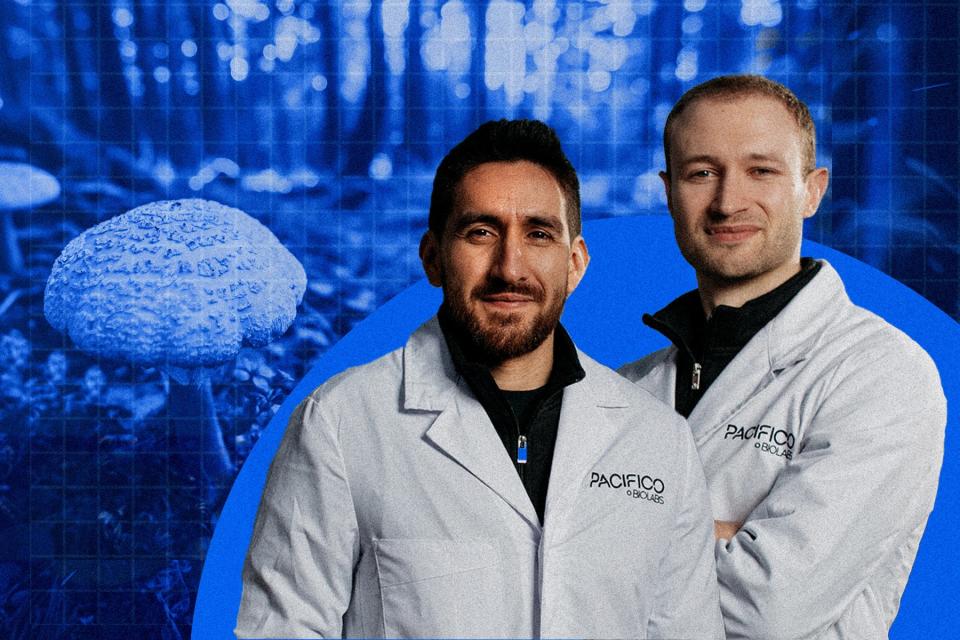 Washington Logroño und Zac Austin (v. l.) haben ein veganes Fisch-Ersatzprodukt aus Pilz-Myzel entwickelt und Investoren vorgelegt. Ihr Startup bekam daraufhin 3,3 Millionen Euro, um das Produkt zukünftig auch in Serie produzieren zu können. - Copyright: Viktor Strasse / serdar s / 500px, Getty Images