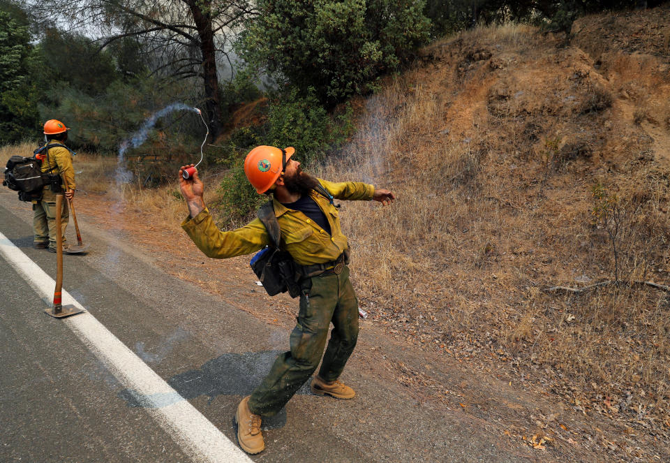 A firefighter throws an incendiary device into the brush to ignite backfires while battling the Ranch Fire north of Upper Lake, California.