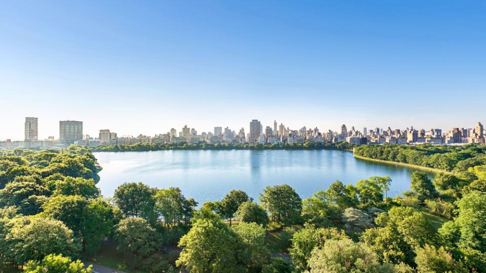 The home has views over Central Park. - Credit: Rise Media