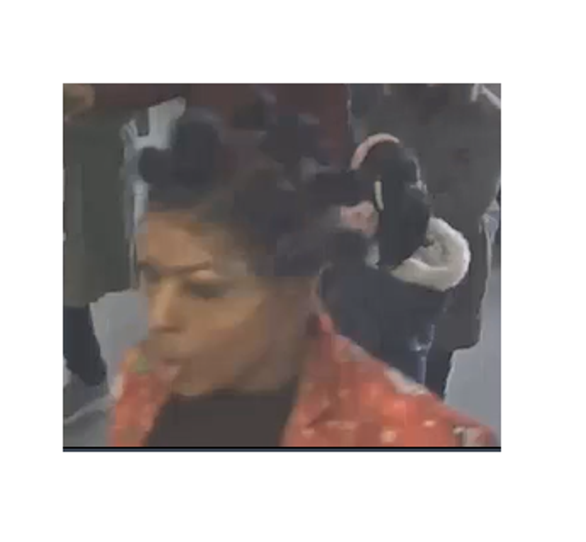 Police want to trace this woman (British Transport Police)