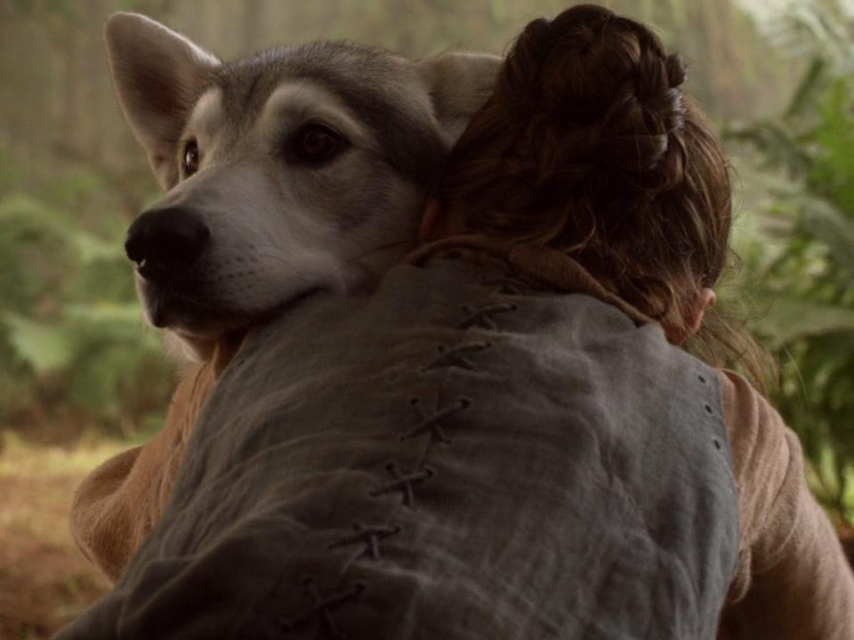 nymeria game of thrones