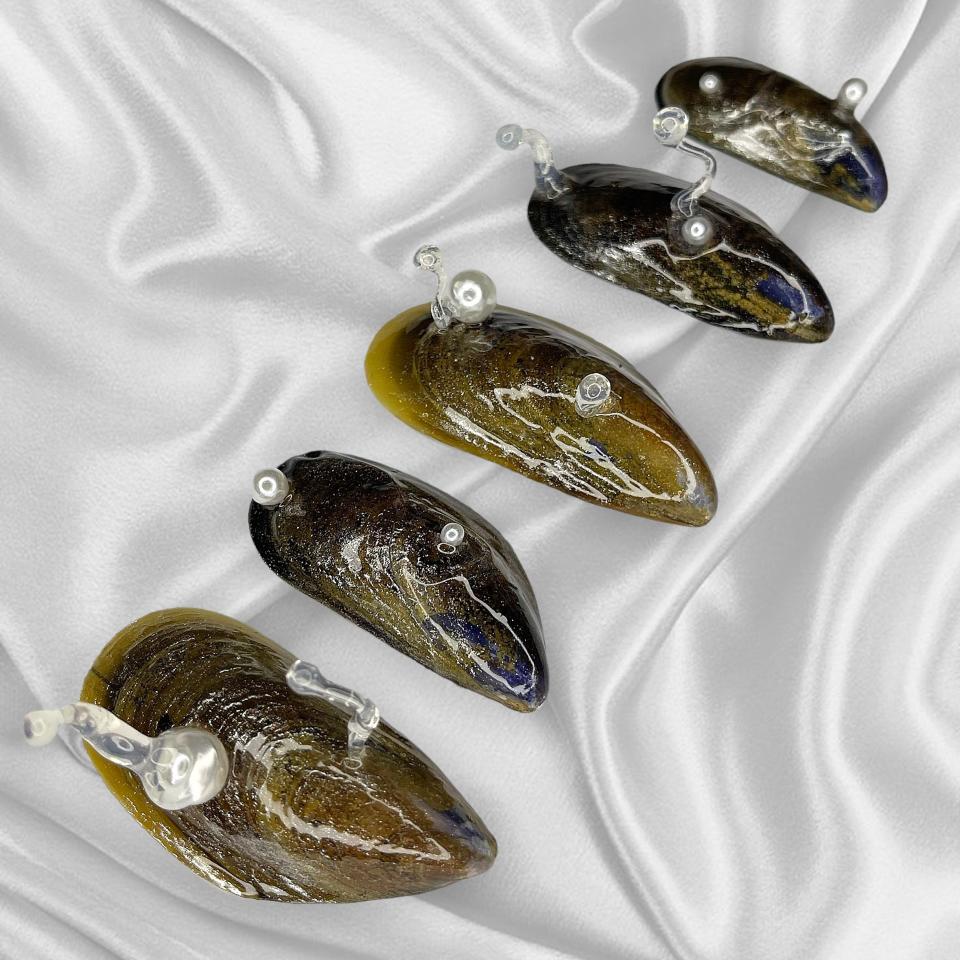 Natali’s mussel shell set. - Credit: photo courtesy of Clémentine Natali