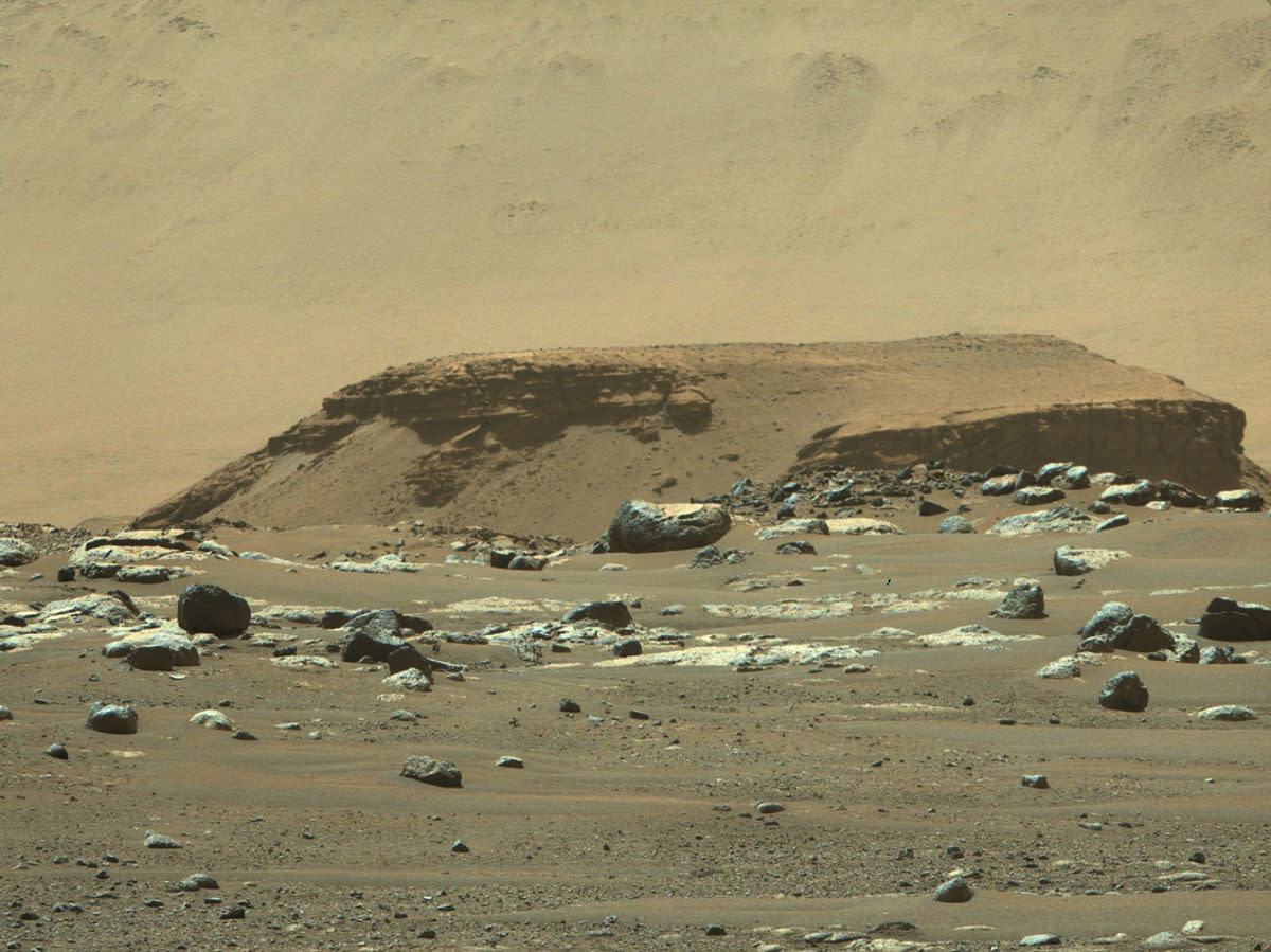  a section of the Martian surface covered in rocks 