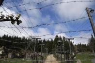 In this picture taken near the village of Kvilda, Czech Republic, on Wednesday, April 9, 2014 the reconstruction of Iron Curtain stands in the Sumava National Park. The Iron Curtain was traced by a real electrified barbed-wire fence that isolated the communist world from the West. It was an impenetrable Cold War barrier _ and for some inhabitants of the Czech Republic it still is. Deer still balk at crossing the border with Germany even though the physical fence came down a quarter century ago, with the painful Cold War past apparently still governing their behavior, new studies show. (AP Photo/Petr David Josek)