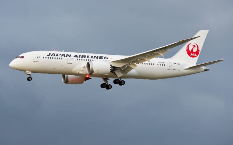 An Boeing 787-8 Dreamliner of Japan Airlines arrives at the airport in Frankfurt. picture alliance / dpa