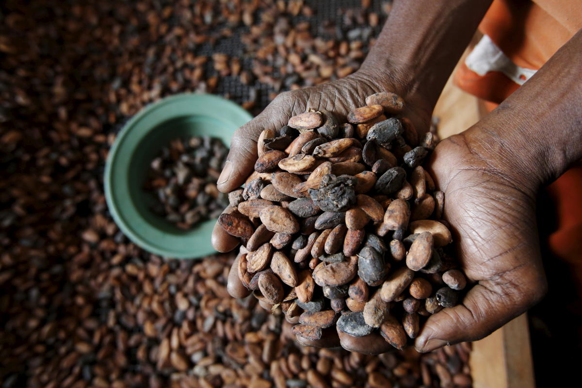 Consommation. Pourquoi, avec une hausse de prix modérée, le chocolat  artisanal résiste à la crise