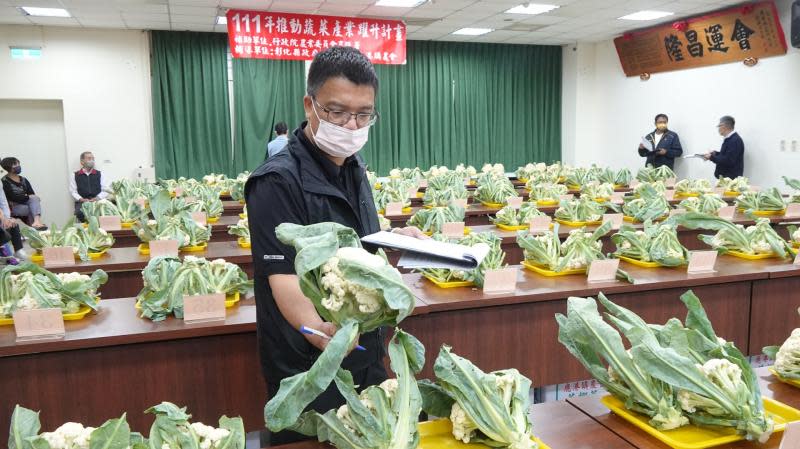 彰化縣花椰菜評鑑　鹿港鎮農會提升農友栽培技術