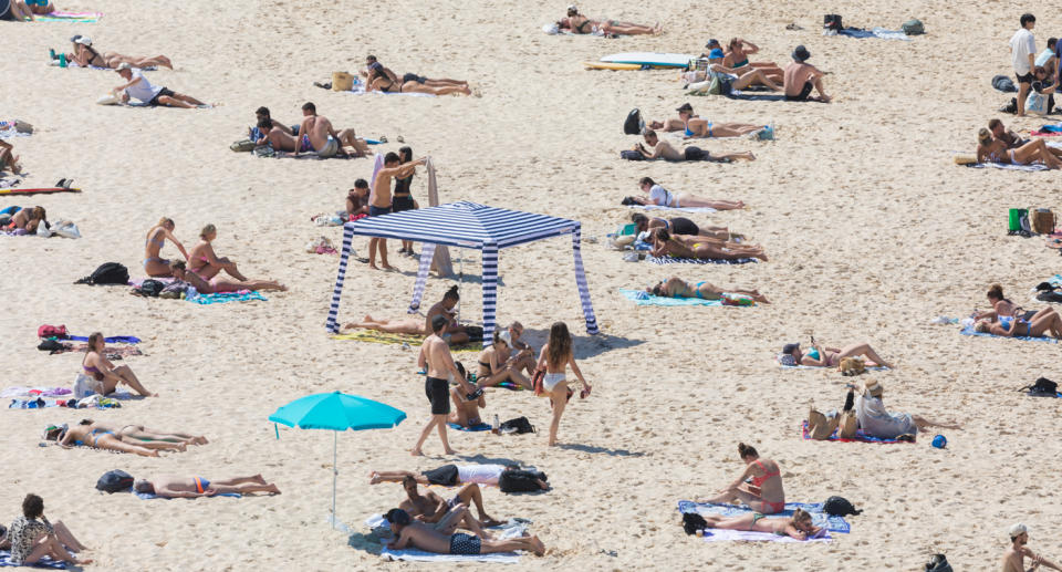 Bluebottles have long been a fixture of the Australian beach-going experience. Source: Getty