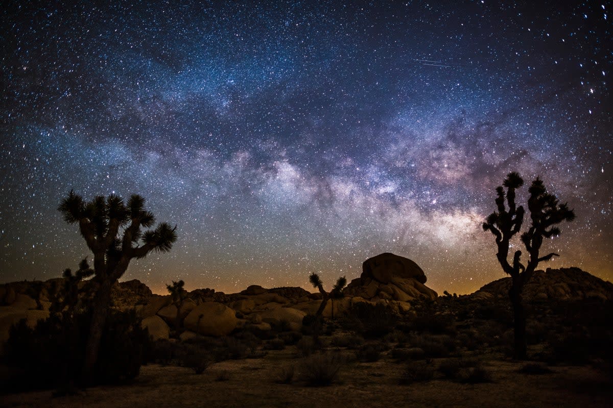Joshua Tree National Park is best enjoyed at night   (Getty Images)