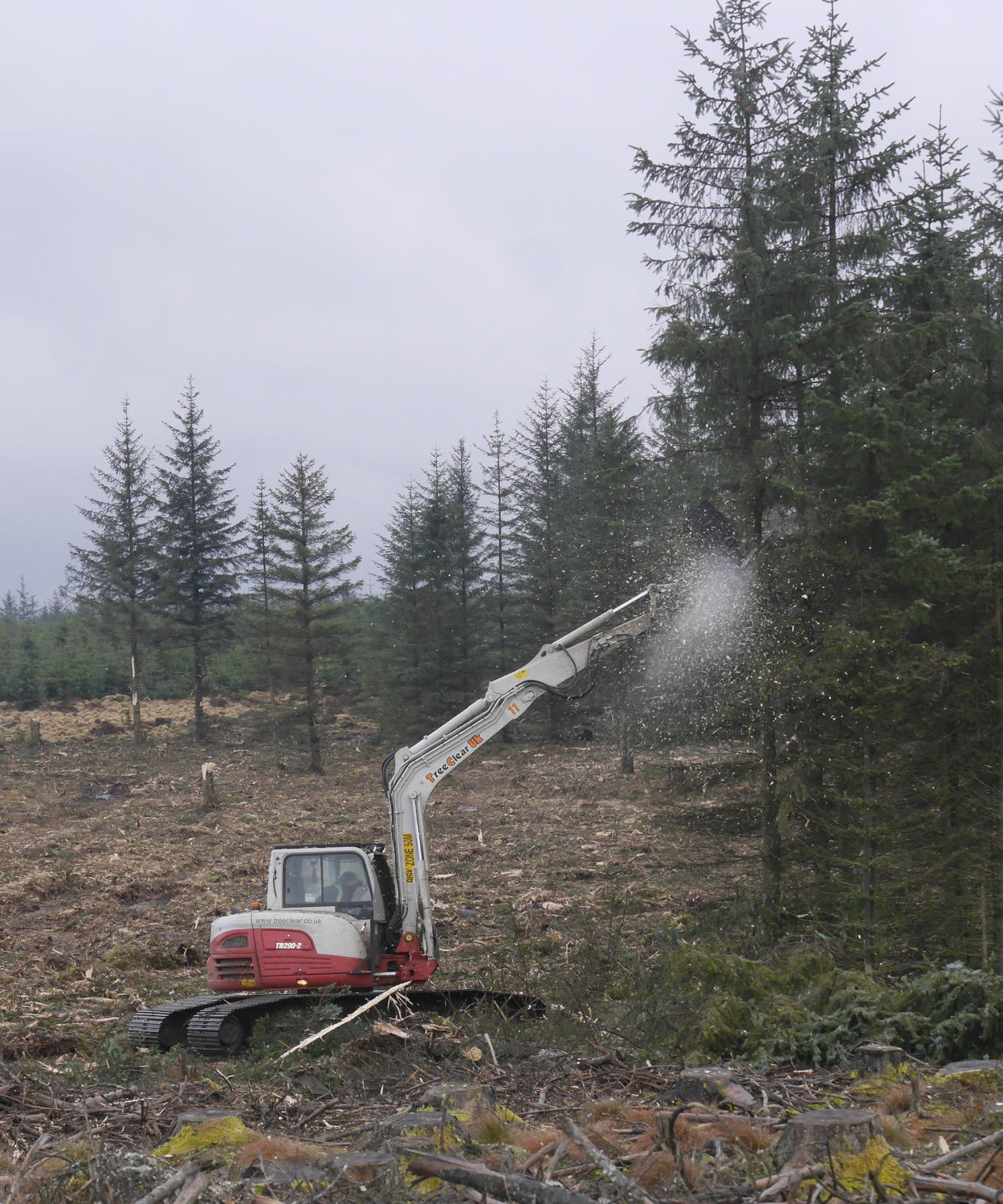A hi tech vertical mulching machine makes quick work of a tree to help restore another of the famous Border Mires in Kielder Forest 