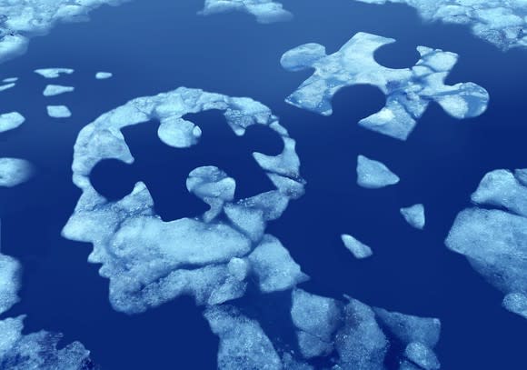 Ice floating in water shaped like human head with jigsaw puzzle piece hole in the head