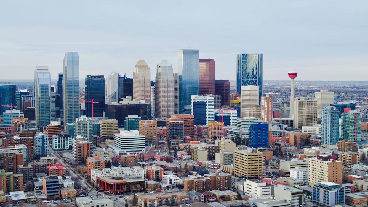 The blanket rezoning bylaw would allow for different housing types, such as six-plexes and townhomes, to be built in Calgary neighbourhoods that currently only allow single-family homes. (Ed Middleton/CBC - image credit)