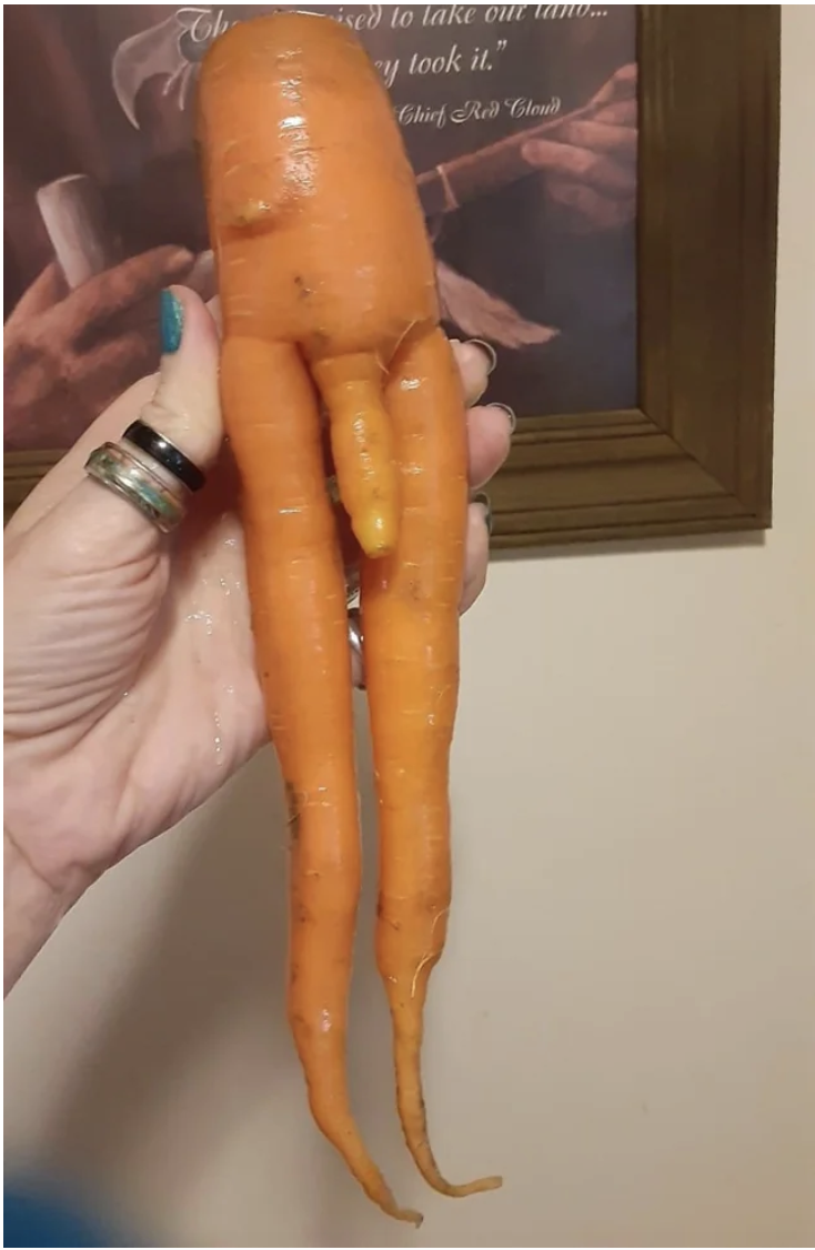 An oddly-shaped carrot