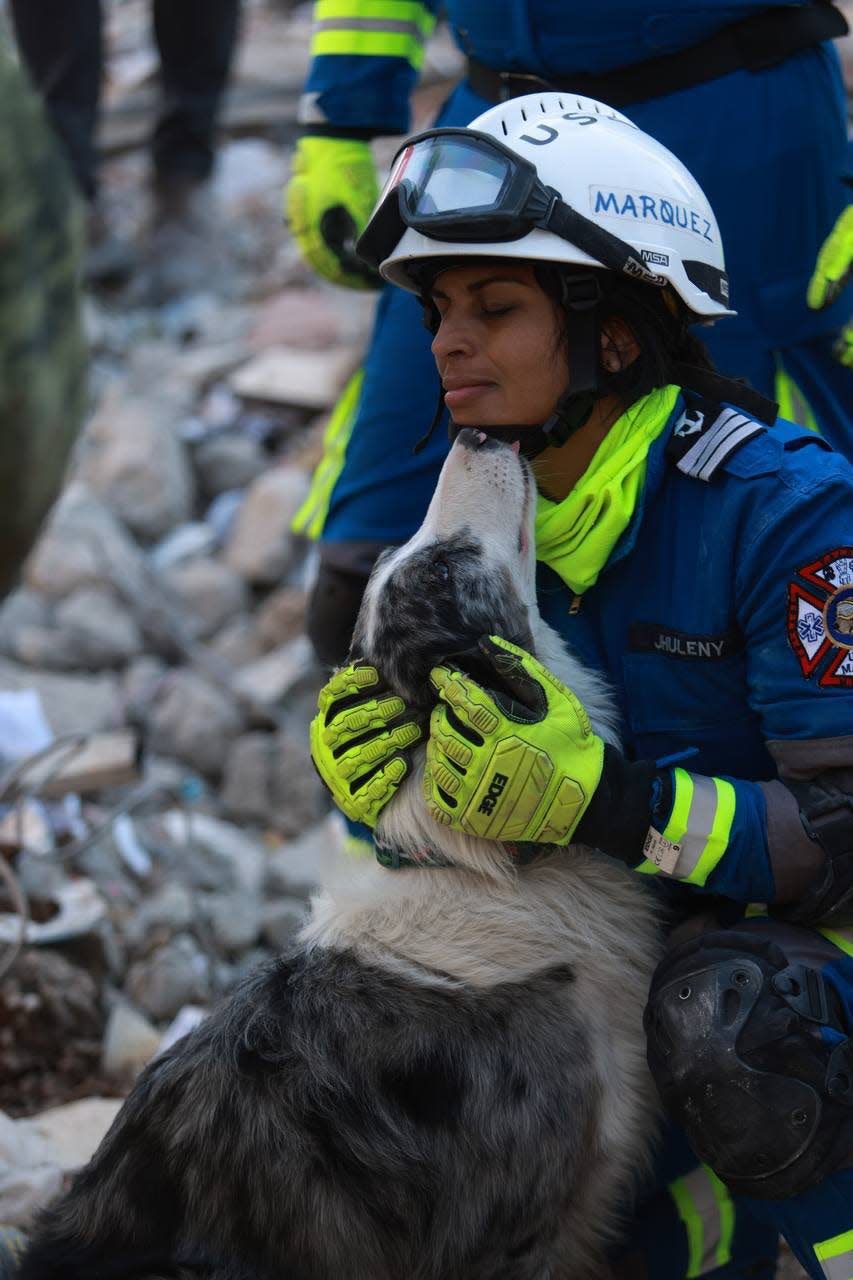 A dog and its handler sent by the Mexican Navy to look for earthquake survivors in Turkey.