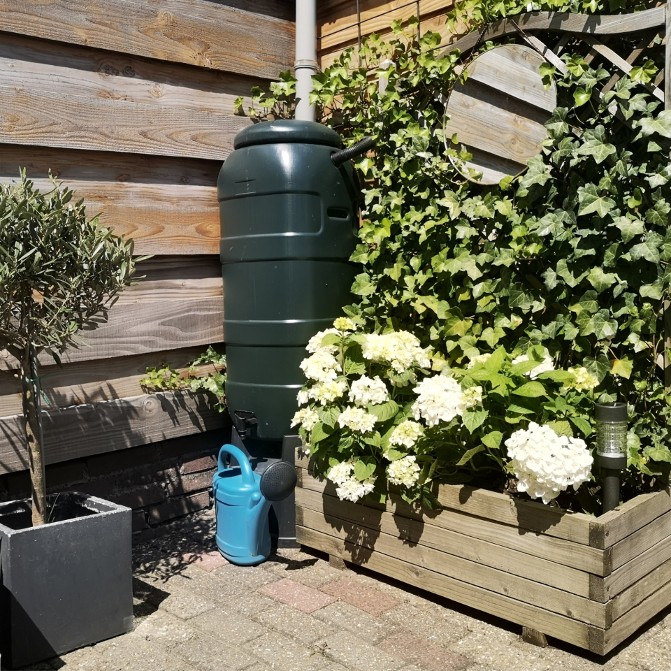 Give rainwater harvesting a go