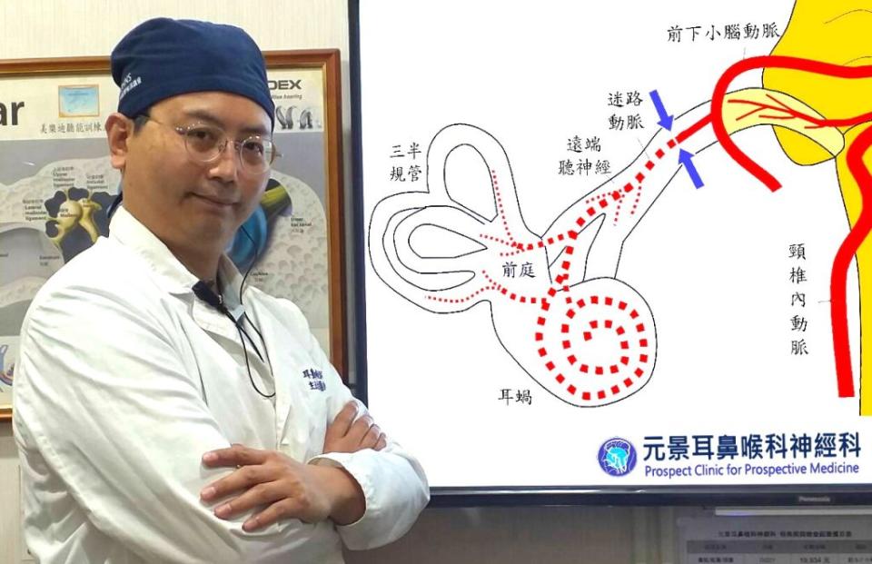 醫師陳建志解釋內耳迷路的血液循環，說明缺血性內耳迷路炎的致病機轉。（醫師陳建志提供）