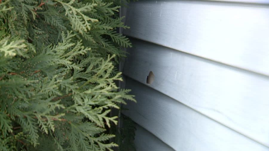 A bullet hole in Erica Pelton's Georgetown Township home, which was hit on March 5, 2024.