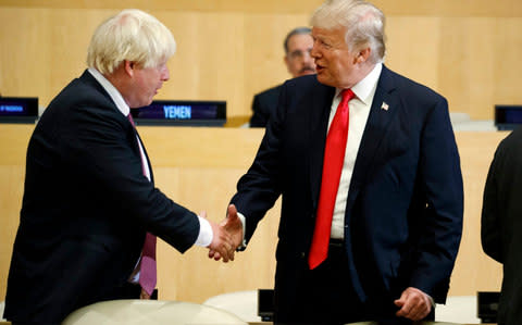 Boris Johnson meets Donald Trump in New York - Credit: Evan Vucci/AP