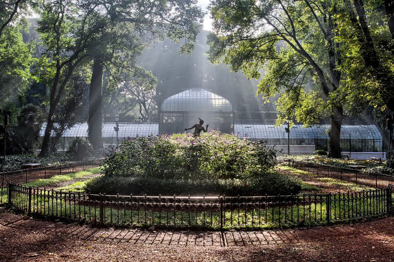El Jardín Botánico de Buenos Aires, primer refugio climático de la Capital 