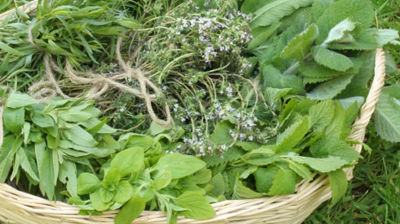 Basket of herbs