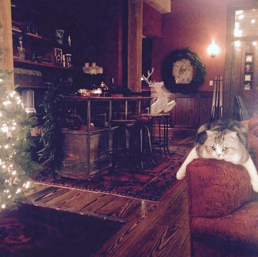 Taylor Swift’s LA Home Is that a bar we spy? Love. It. [Photo: Instagram/Taylor Swift]