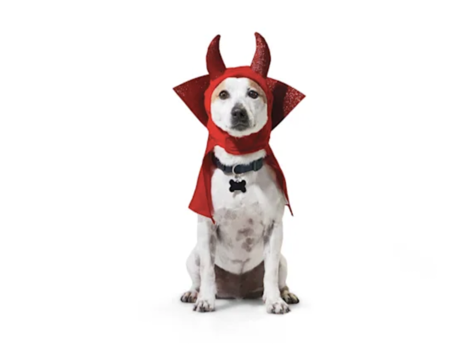 Bootique Devil Headwear for Dogs & Cats