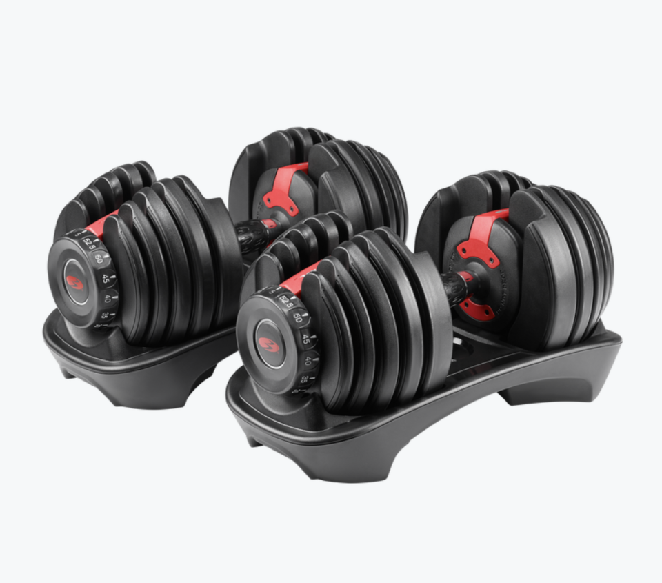 bowflex adjustable dumbbells