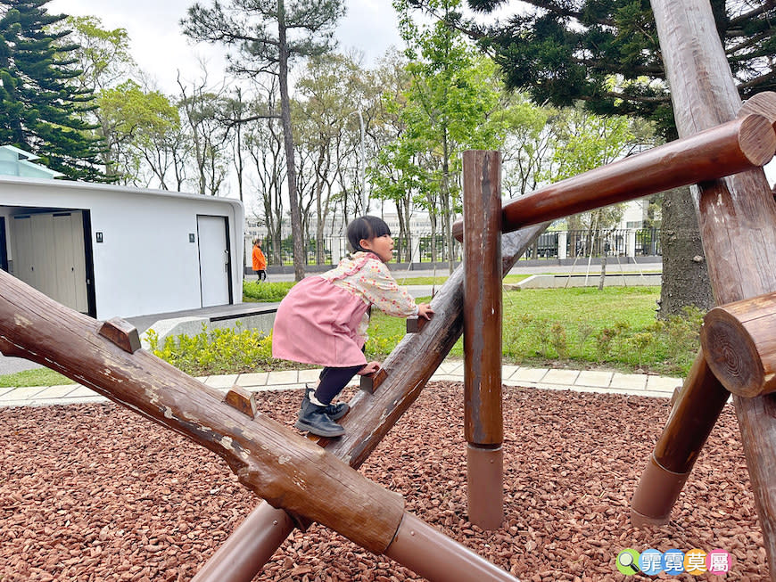 桃園龍潭綠杉林公園