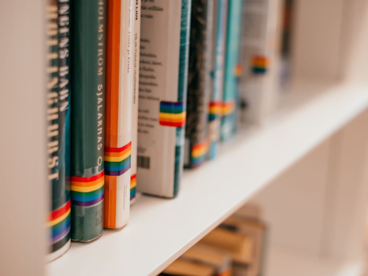 Pride Month displays and events were held in libraries across the US (Getty Images)