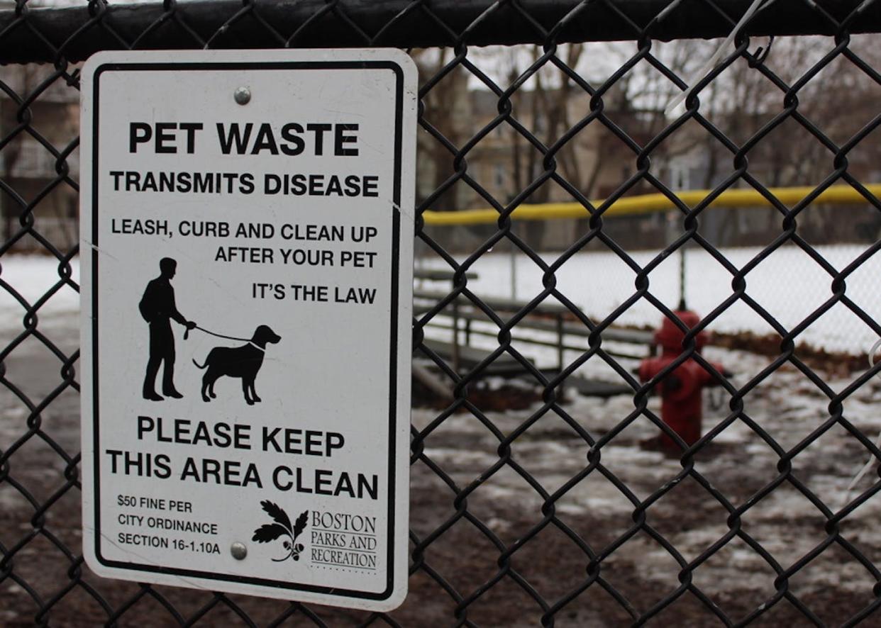 Responsible pet owners are on diligent poop patrol. Hannah Sussman, <a href="http://creativecommons.org/licenses/by-nd/4.0/" rel="nofollow noopener" target="_blank" data-ylk="slk:CC BY-ND;elm:context_link;itc:0;sec:content-canvas" class="link ">CC BY-ND</a>