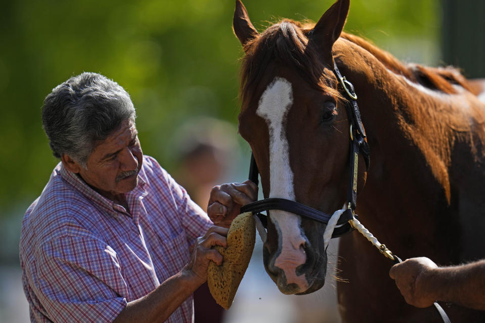 Kentucky Derby winner Mage is bathed after a workout ahead of the 148th running of the Preakness Stakes horse race at Pimlico Race Course, Thursday, May 18, 2023, in Baltimore. (AP Photo/Julio Cortez)