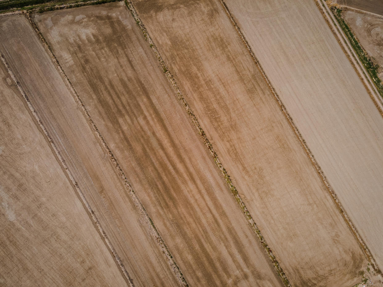 An aerial view shows long strips of totally barren agricultural land
