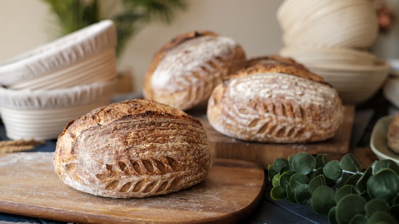 sourdough bread loaves