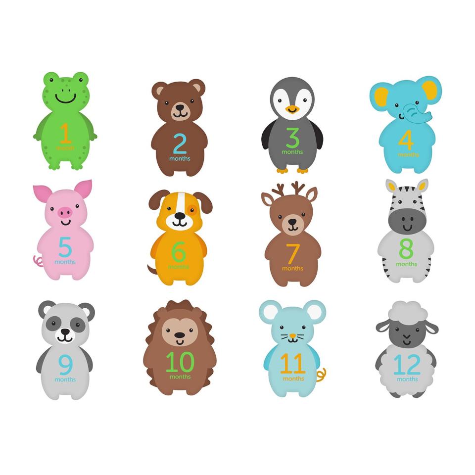 Baby First Year Animal Belly Stickers