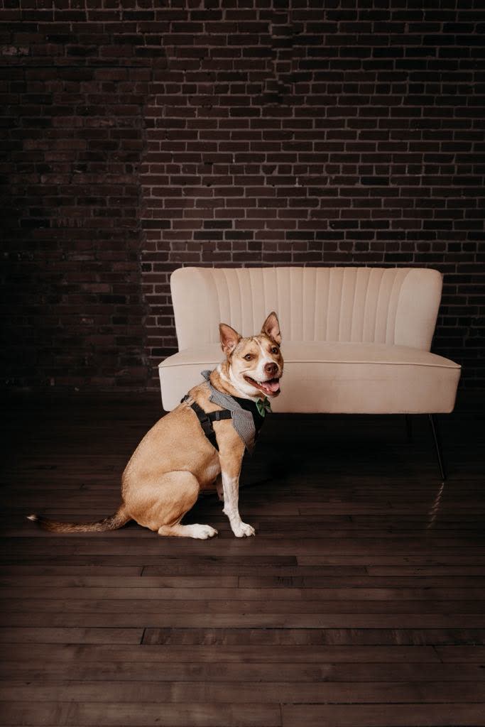 Tripp poses for a glamour shot in front of a couch.