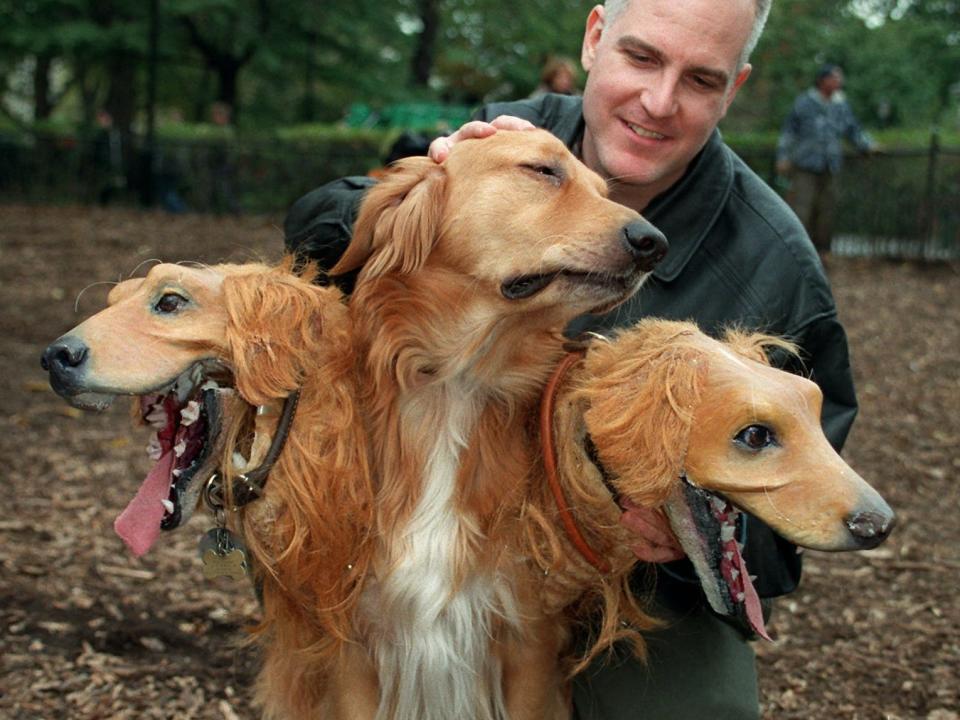 A three-headed dog costume in 1997.