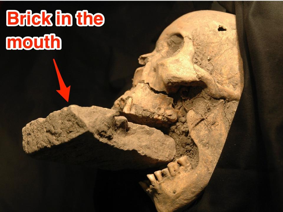 A aged skull with a stone place in the mouth is shown from the side.