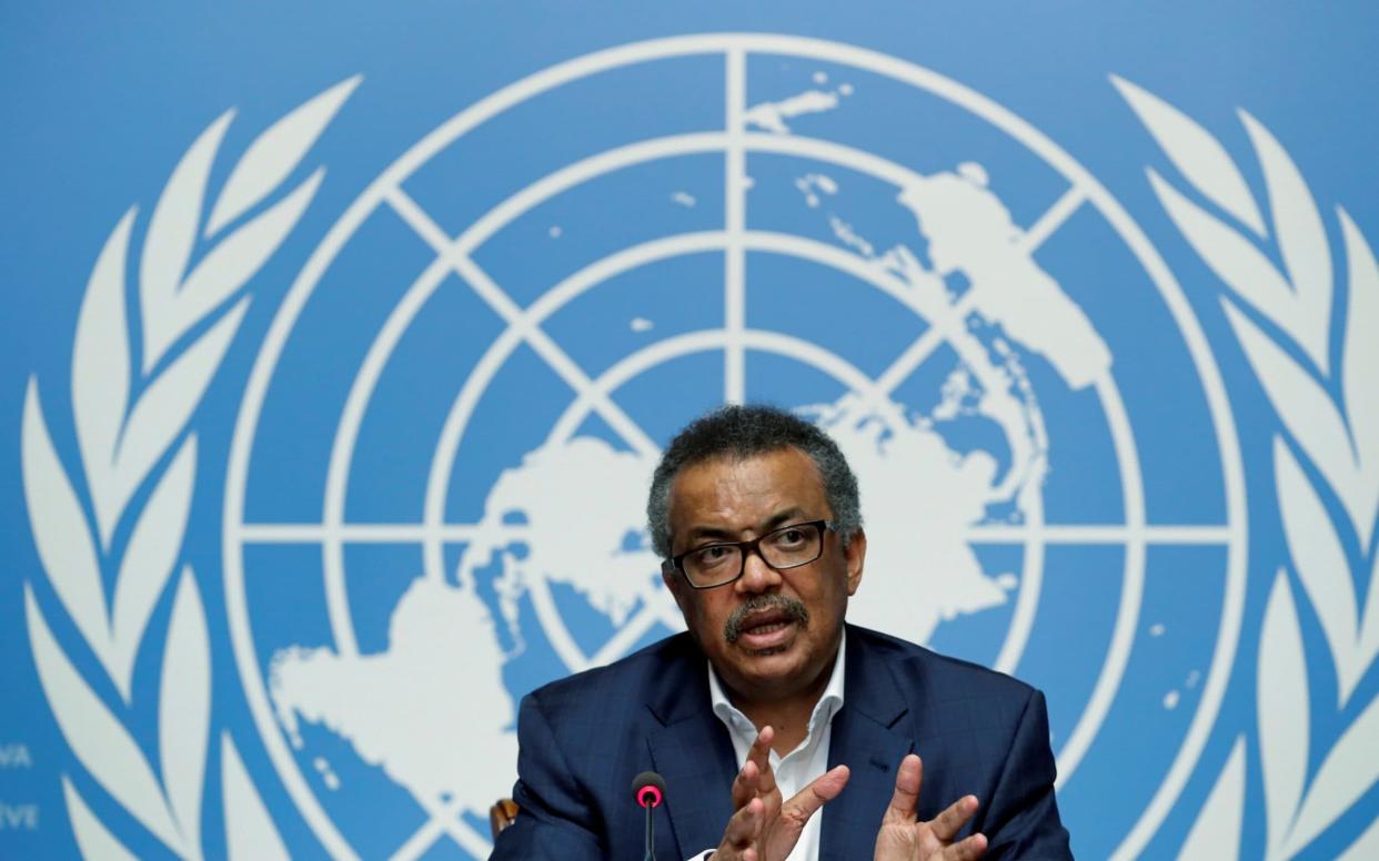 The WHO's director general, Tedros Adhanom, said the investment case was about