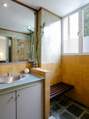 A bamboo plant sits in the bathroom.