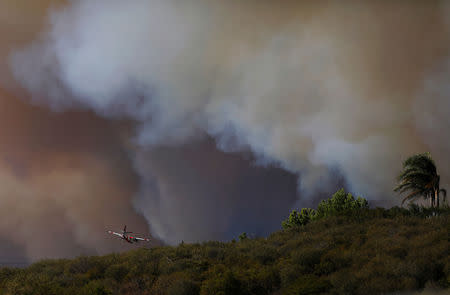 Smoke from a wildfire is seen in Calabasas, California, U.S. November 9, 2018. REUTERS/Eric Thayer