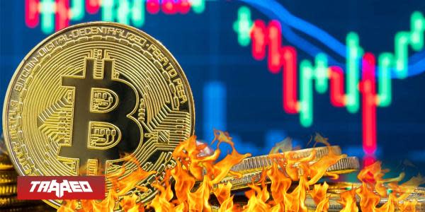 Bitcoin alcanza los 66.000 dólares y se espera que siga en alza hasta los 100 mil