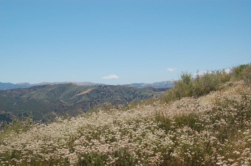 More than 6,000 acres of open space on the border of Ventura and Los Angeles counties is now part of a protected ecological area.