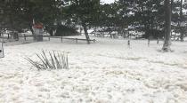 A beach at Sarina is blanketted in foam after Debbie's arrival. Photo: 7 News