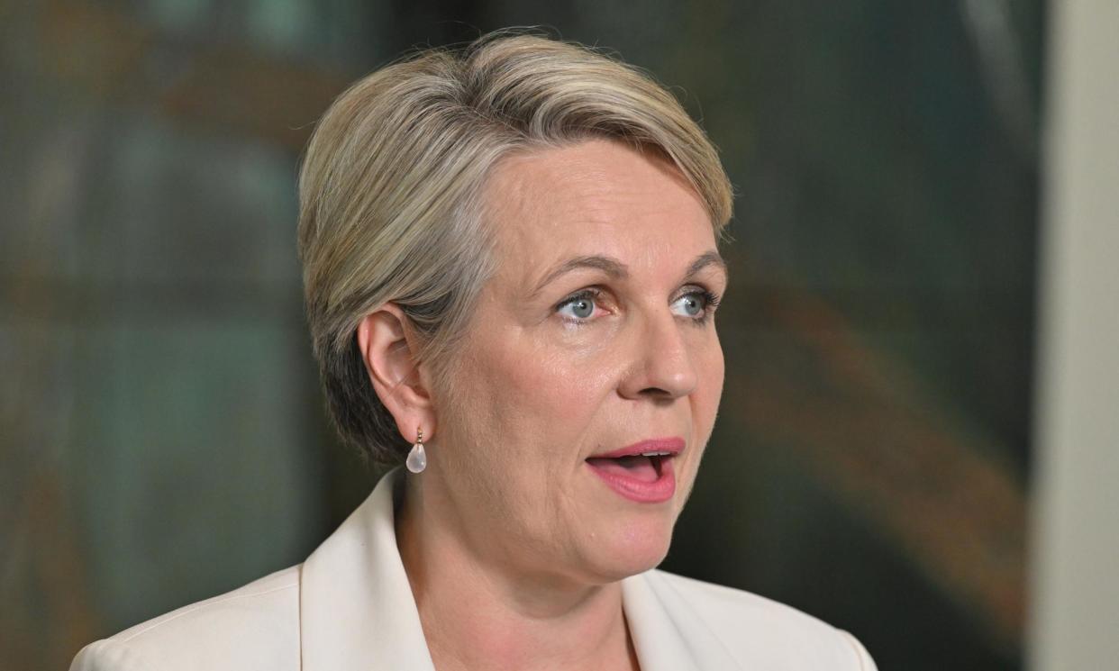 <span>The environment minister, Tanya Plibersek, had initially promised to introduce the new laws by last year. </span><span>Photograph: Mick Tsikas/AAP</span>