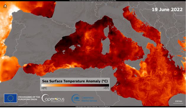 Certaines parties de la Méditerranée sont plus chaudes de plus de +5°C que la moyenne. (Photo: Copernicus)