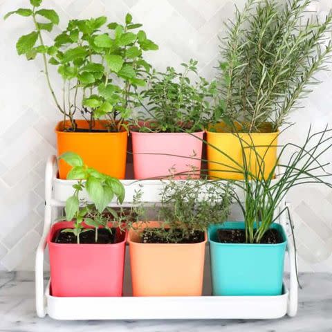 <p><a href="https://abeautifulmess.com/make-a-colorful-indoor-herb-garden/" data-component="link" data-source="inlineLink" data-type="externalLink" data-ordinal="1">A Beautiful Mess</a></p>