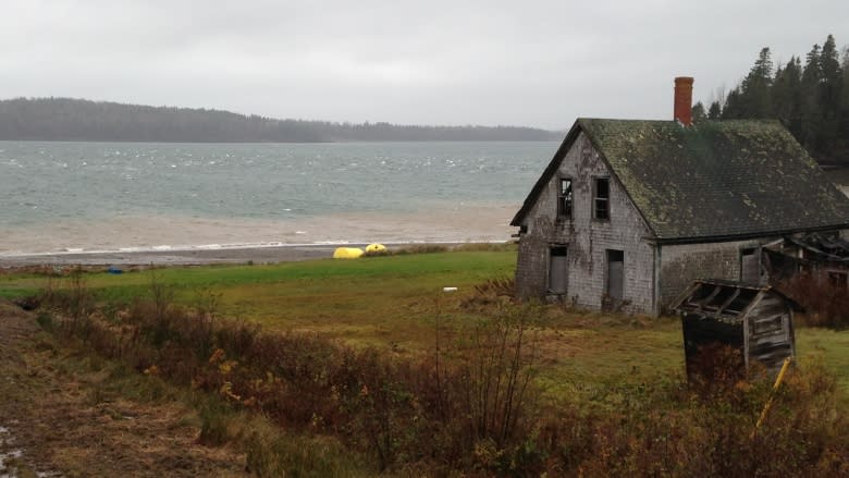 Higher wage for temporary foreign workers 'unfair,' shellfish labourer says